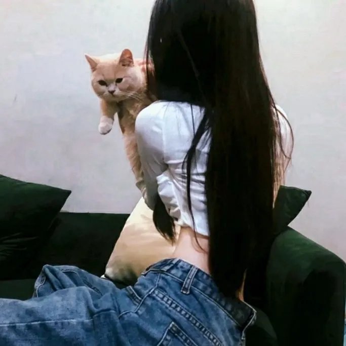 猪猪侠·一只老猪的逆袭